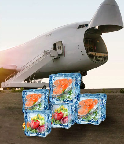 Perishable Cargo Transportation